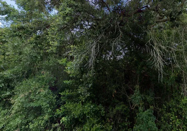 Photo 1 of Land for sale at 3288/3302 E Alisa Ln, Inverness, FL 34453 | MLS# O6366386 | Listing updated on 2026-02-09