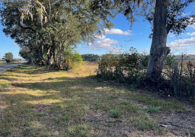Land for sale at NE 150 Street, TRENTON, FL 32693 | MLS# OM714824