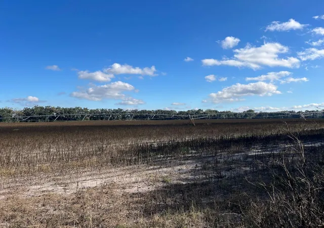 Photo 3 of Land for sale at Ne 150 Street, Trenton, FL 32693 | MLS# OM714824 | Listing updated on 2026-09-06