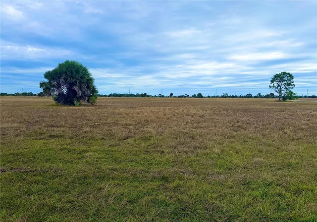 Photo 1 of Land for sale at 106 Wren Dr, Placida, FL 33946 | MLS# A4674798 | Listing updated on 2026-10-20