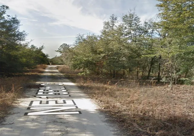 Photo 3 of Land for sale at Ne 155th Court, Williston, FL 32696 | MLS# O6366541 | Listing updated on 2026-08-30