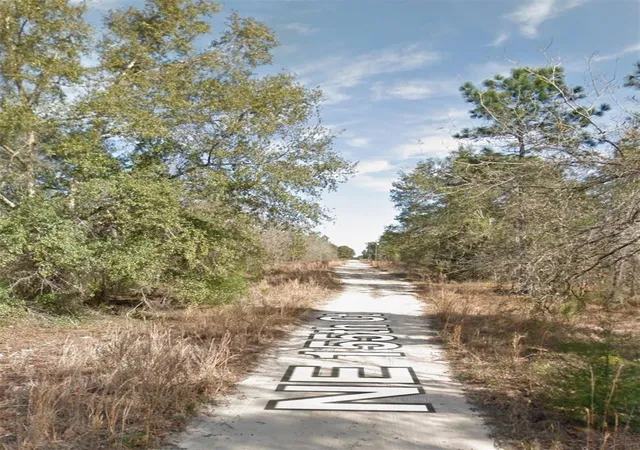 Photo 3 of Land for sale at NE 155th Court, Williston, FL 32696 | MLS# O6366541 | Listing updated on 2026-08-30