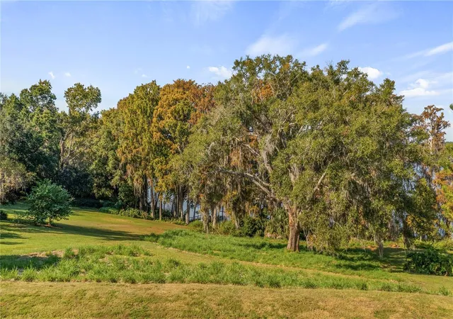 2nd image of Lake Swatara Dr, Eustis, FL 32736 | MLS# G5105395