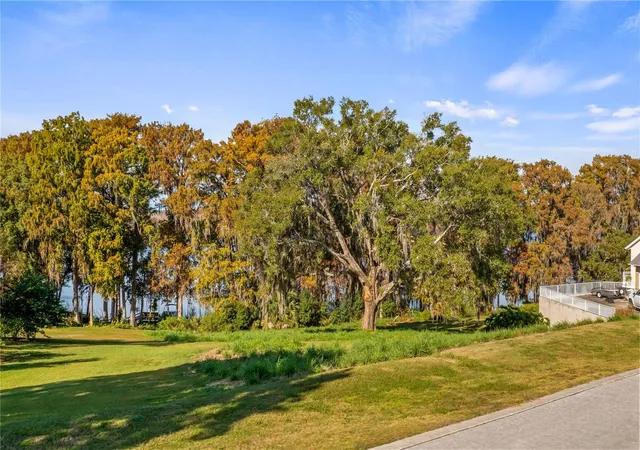 3rd image of Lake Swatara Dr, Eustis, FL 32736 | MLS# G5105395