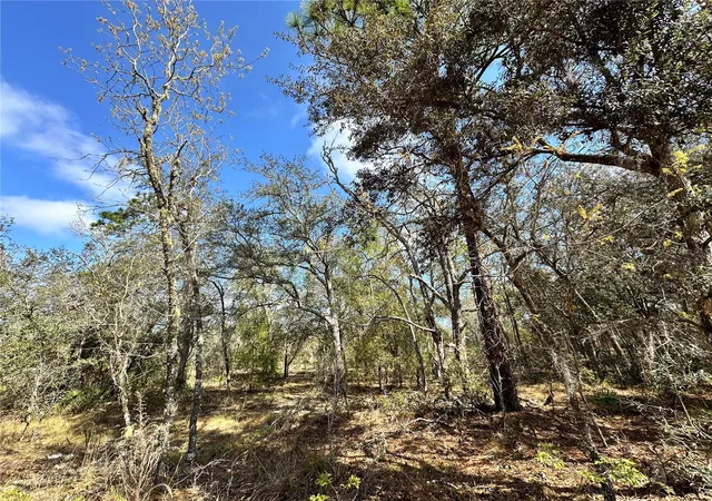 Photo 1 of Land for sale at Tbd Ne 68th Place, Bronson, FL 32621 | MLS# OM714955 | Listing updated on 2026-03-27