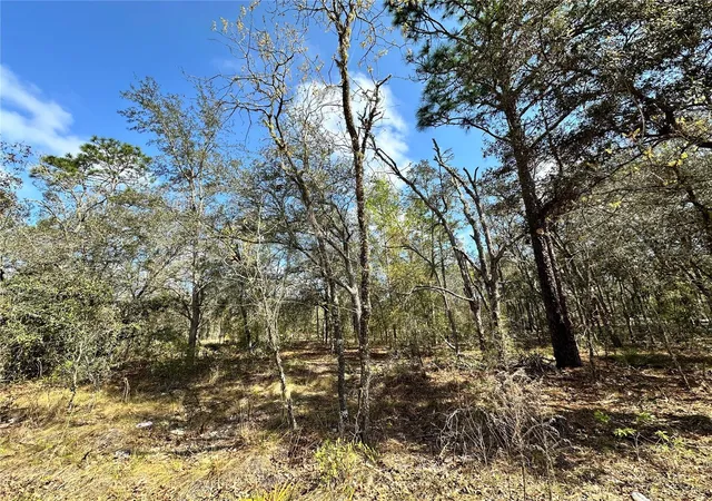 Photo 3 of Land for sale at Tbd NE 68th Place, Bronson, FL 32621 | MLS# OM714955 | Listing updated on 2026-03-27