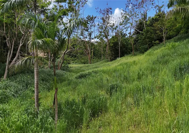 Homes for sale in Rincon, PR | Km 27 414 Street, Rincon, PR 00677 | MLS# PR9117949