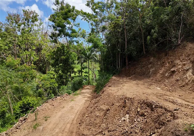 Homes for sale in Rincon, PR | Km 27 414 Street, Rincon, PR 00677 | MLS# PR9117949