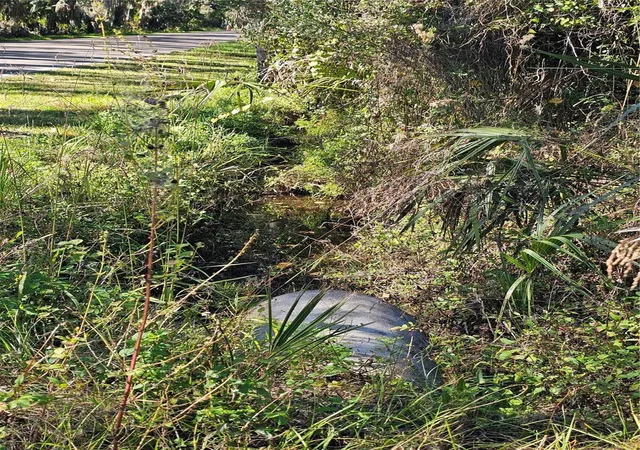 Photo 3 of Land for sale at 786 Fort Florida Rd, Debary, FL 32713 | MLS# R4910393 | Listing updated on 2026-07-31