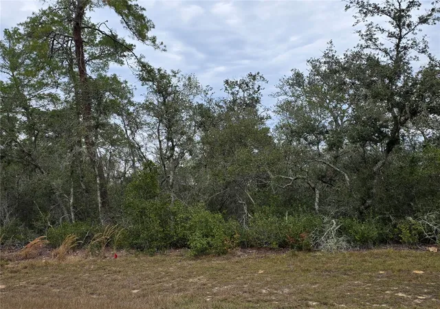 1st image of 165 Sw Street Rd, Ocala, FL 34473 | MLS# O6367195