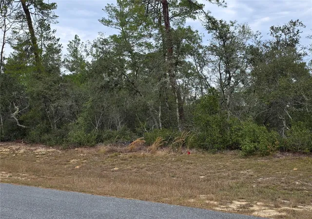 2nd image of 165 Sw Street Rd, Ocala, FL 34473 | MLS# O6367195