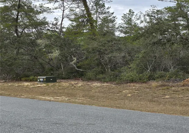 6th image of 165 Sw Street Rd, Ocala, FL 34473 | MLS# O6367195
