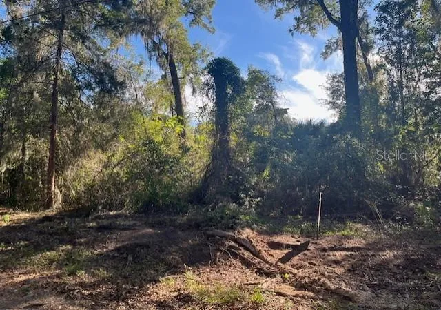 1st image of Tbd Nw 160th St, Reddick, FL 32686 | MLS# OM715072