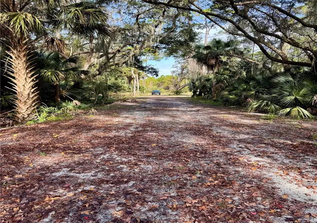 Photo 32 of Land for sale at 0 Clinton Cemetery Rd, Edgewater, FL 32141 | MLS# NS1086813 | Listing updated on 2026-08-24