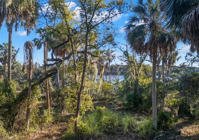 21st image of 9511 River Cove Dr, Riverview, FL 33578 | MLS# TB8456839
