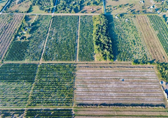 2nd image of 2205 Hicks Rd, Lorida, FL 33857 | MLS# L4957950