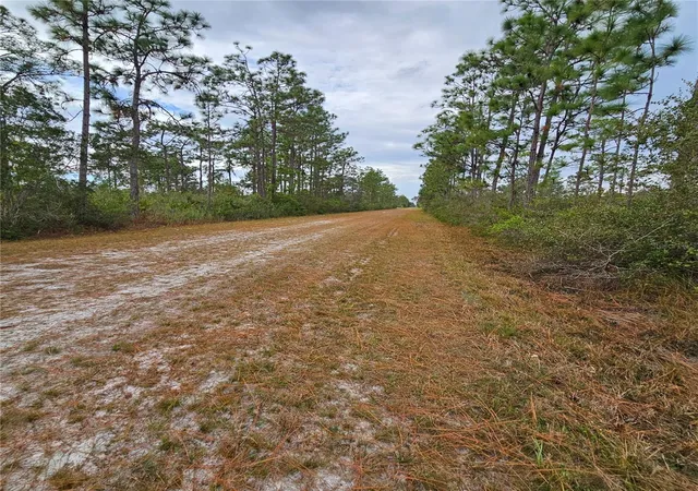 Photo 4 of Land for sale at 108 El Dorado Dr, Indian Lake Estates, FL 33855 | MLS# S5140357 | Listing updated on 2026-08-01