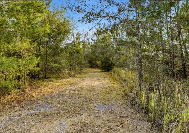 Photo 1 of Land for sale at 0 Backwoods Way, Brooksville, FL 34614 | MLS# W7881493 | Listing updated on 2026-10-07
