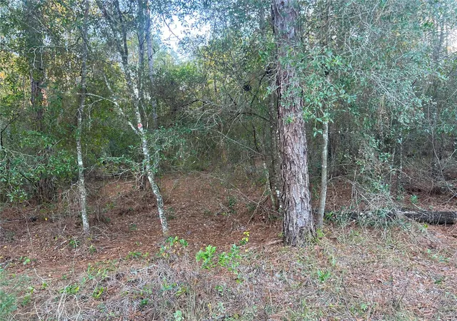 Photo 4 of Land for sale at Lot 4+ Blair Ave, Brooksville, FL 34604 | MLS# W7881517 | Listing updated on 2026-09-05