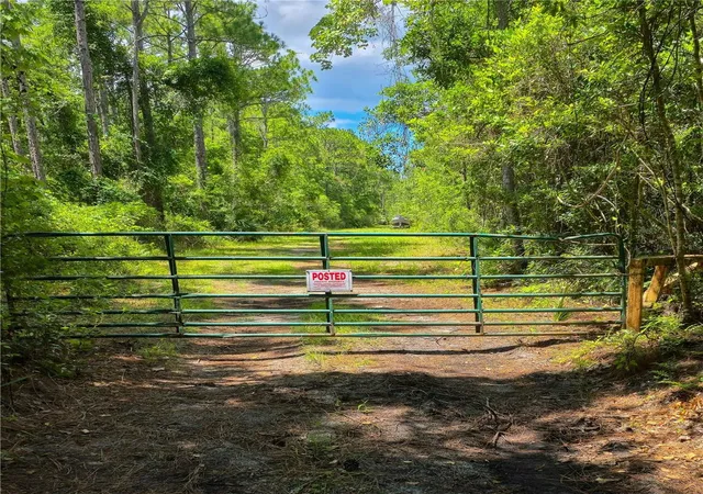 4th image of 804 Shell Harbor Rd, Pierson, FL 32180 | MLS# R4910423