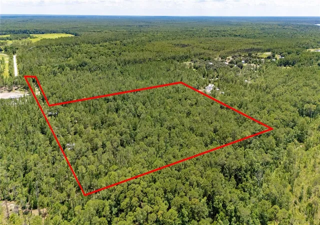 3rd image of 804 Shell Harbor Rd, Pierson, FL 32180 | MLS# R4910423