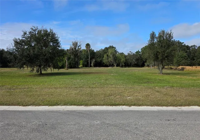1st image of 15311 Fishhawk Heights Run, Lithia, FL 33547 | MLS# TB8457496