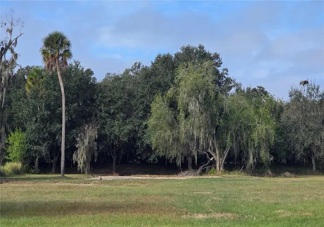 2nd image of 15311 Fishhawk Heights Run, Lithia, FL 33547 | MLS# TB8457496