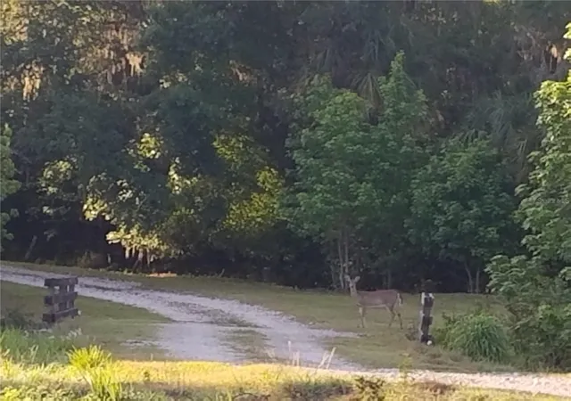 6th image of 15311 Fishhawk Heights Run, Lithia, FL 33547 | MLS# TB8457496