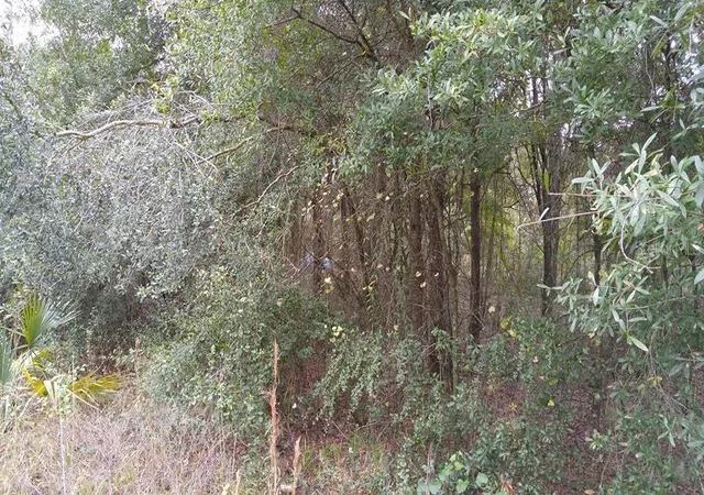 Land for sale at Rolling Meadow, LAND O LAKES, FL 34639 | MLS# TB8457749