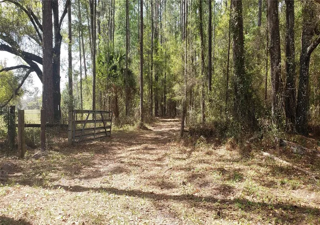 1st image of Nw 115th Ave, Reddick, FL 32686 | MLS# OM715432