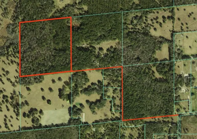 10th image of Nw 115th Ave, Reddick, FL 32686 | MLS# OM715432