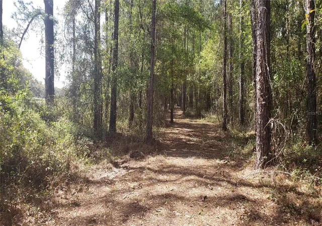 2nd image of Nw 115th Ave, Reddick, FL 32686 | MLS# OM715432