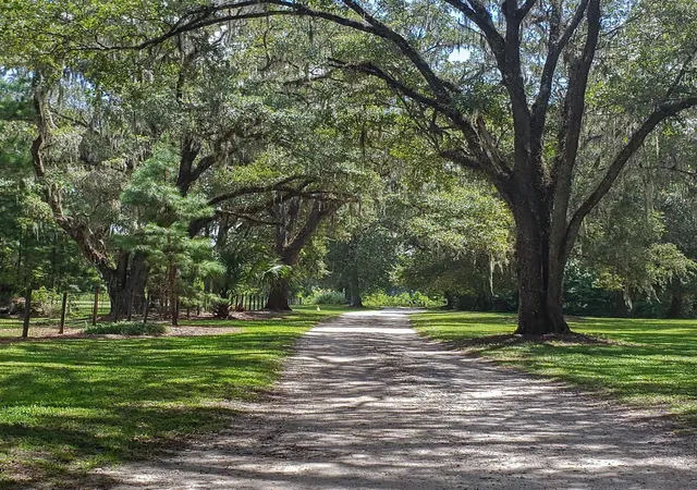 4th image of Nw 115Th Ave, Reddick, FL 32686 | MLS# OM715432