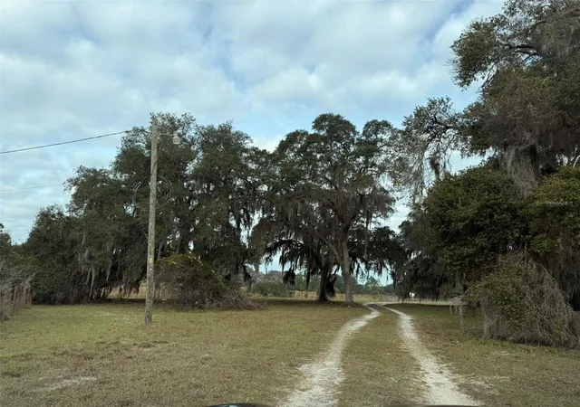 3rd image of 29605 Fullerville Rd, Deland, FL 32720 | MLS# V4946393