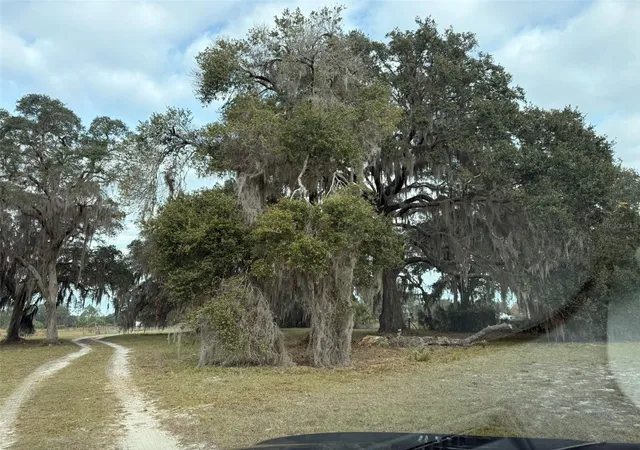 4th image of 29605 Fullerville Rd, Deland, FL 32720 | MLS# V4946393