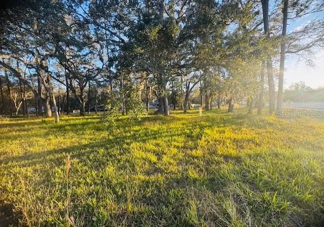 Photo 3 of Land for sale at 17476 Nicholas Ave, Brooksville, FL 34604 | MLS# G5105810 | Listing updated on 2026-08-29