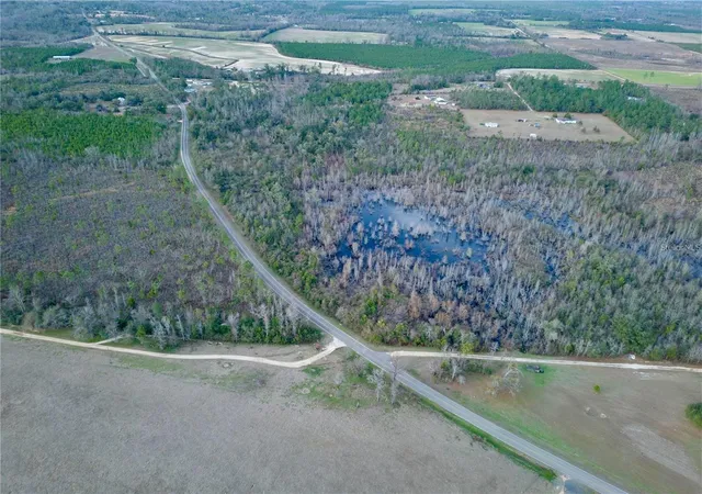 4th image of Lot 10 Bethlehem Rd, Cottondale, FL 32431 | MLS# TB8458485