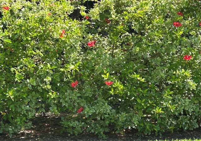 Listing Photo 2 - Condo for sale in building located at 146 Boca Ciega Pt Blvd Blvd S, ST PETERSBURG, FL 33708 - Unit #146