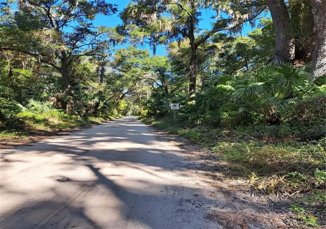 2nd image of 0 Sw 56th Ave, Gainesville, FL 32608 | MLS# TB8458701