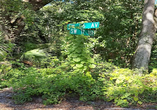 3rd image of 0 Sw 56th Ave, Gainesville, FL 32608 | MLS# TB8458701