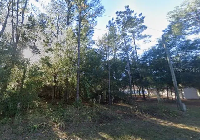 3rd image of Lot 26 Guava Pass Dr, Ocklawaha, FL 32179 | MLS# OM715567