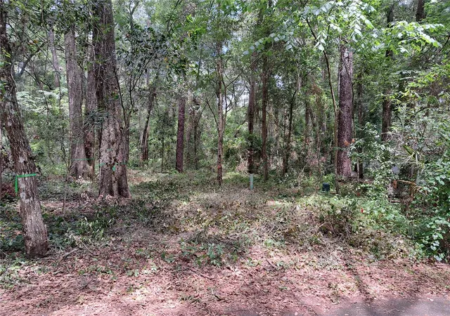 1st image of 2164 Sw 37th Ct, Gainesville, FL 32608 | MLS# TB8459227