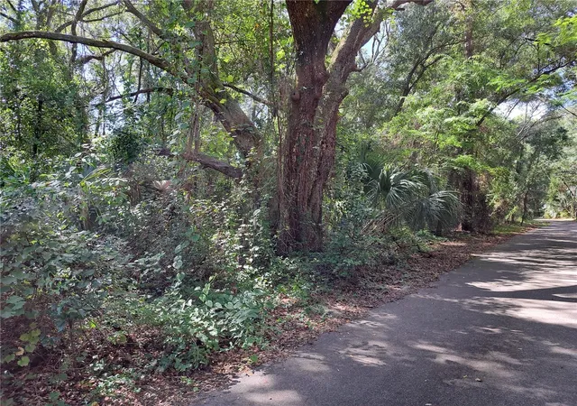 6th image of 2164 Sw 37th Ct, Gainesville, FL 32608 | MLS# TB8459227