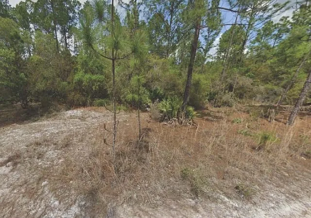 Photo 1 of Land for sale at 158 Ferncreek Dr, Georgetown, FL 32139 | MLS# OM715761 | Listing updated on 2025-12-31