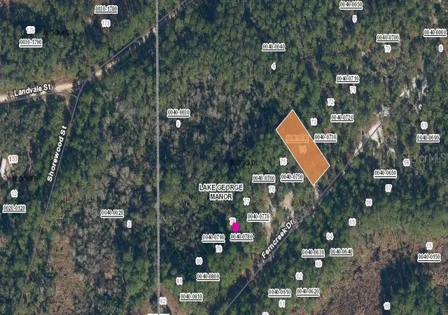 Photo 2 of Land for sale at 158 Ferncreek Dr, Georgetown, FL 32139 | MLS# OM715761 | Listing updated on 2025-12-31