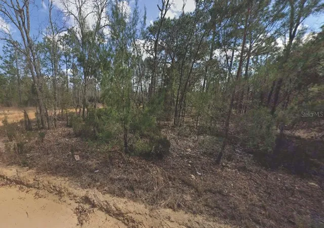 Photo 1 of Land for sale at 133 Lake Lucy Ct, Interlachen, FL 32148 | MLS# OM715762 | Listing updated on 2025-12-31
