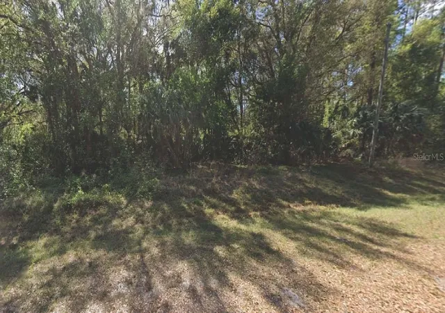 Photo 1 of Land for sale at 324 E Edgewood Dr, Georgetown, FL 32139 | MLS# OM715763 | Listing updated on 2025-12-31