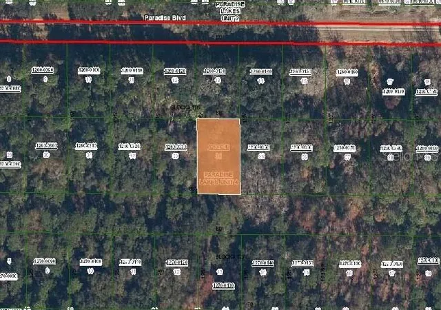 Photo 2 of Land for sale at 324 E Edgewood Dr, Georgetown, FL 32139 | MLS# OM715763 | Listing updated on 2025-12-31