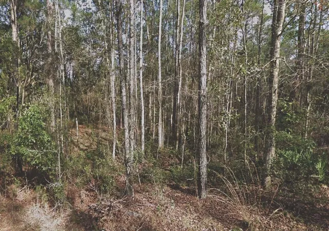 Photo 1 of Land for sale at 130 Se 5th Street, Palatka, FL 32177 | MLS# OM715764 | Listing updated on 2026-07-08
