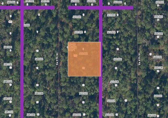 Photo 2 of Land for sale at 130 Se 5th Street, Palatka, FL 32177 | MLS# OM715764 | Listing updated on 2026-07-08